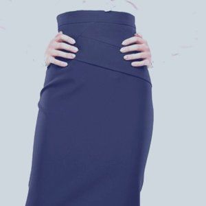 Dioni Unlined Navy Pencil Skirt Plus Size 20 NWT